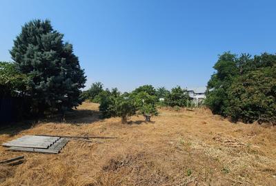 Vanzare teren Clinceni strada Principala - 13