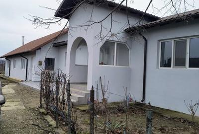 Casă individuală cu 4 camere cu Teren 3653 Mp în Vadu Părului - 13