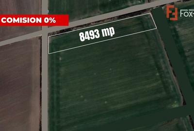 COMISION 0% Teren extravilan agricol, Sacalaz - 8493mp, 2 fronturi COMISION 0% Teren extravilan agricol, Sacalaz - 8493mp, 2 fronturi - 2