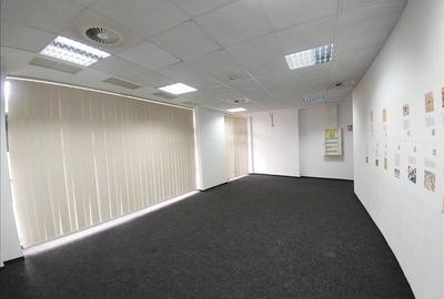 Birouri de inchiriat in zona parcului - 8