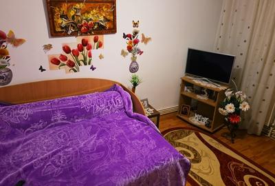 APARTAMENT ETAJ 4 SIDERURGIȘTILOR - 16
