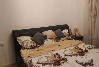 Apartament cu 2 camere decomandat în Exercițiu - 4