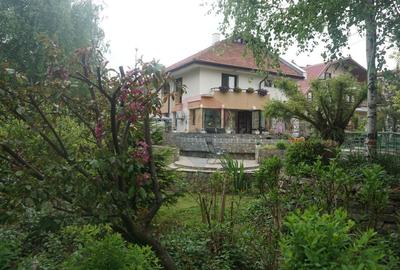 Vanzare vila cu D+P+Et +M, intravilan 1670 mp, Saftica - 47