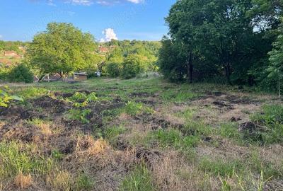 Casa de vanzare Com. Calarasi Turda - 2