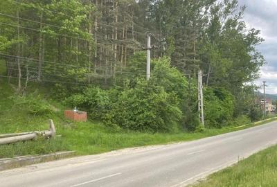Teren de 2329 mp, în Beșlii - 2
