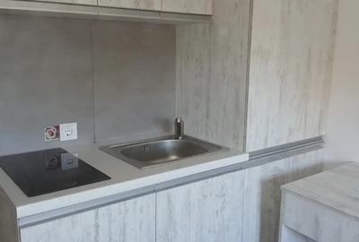 Garsoniera lidl eremia - 1