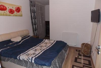 Apartament cu 2 camere semidecomandat în Nufărul - 5