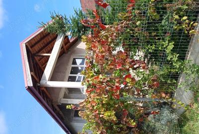 Casă cu 3 camere cu Teren 300 Mp în Voluntari - 2