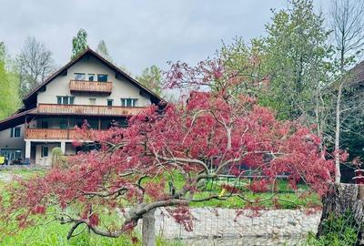 Casă cu 4 camere în Bran - 3