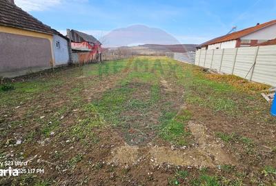 Teren de 1186 mp, în Ineu - 11