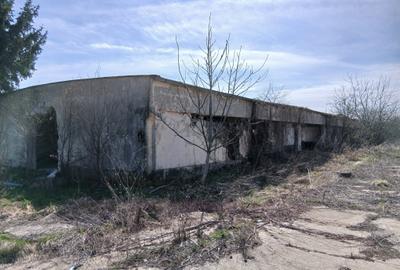 Teren intravilan 16400 mp, Balotesti-Saftica - 50 euro/m2 - 8