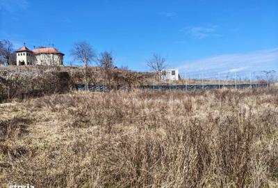 Teren de 1494 mp, în Hemeiuș - 5