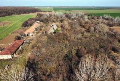 Ferma si livada de meri in judetul Ilfov - 18