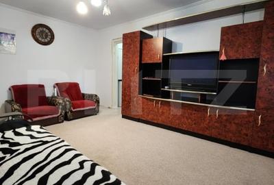 Apartament de inchiriat, 2 camere, Brazda lui Novac - 4