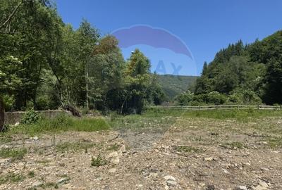 Teren intravilan 1500 mp Valea Ierii - 9