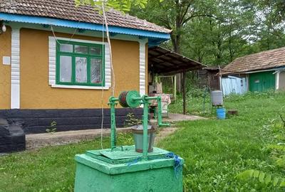 Casa batraneasca situata in jude?ul Vaslui - 2