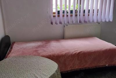 Inchiriez camera la curte - 9