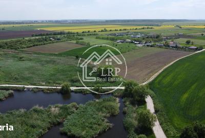 Teren de 10400 mp, în Dascălu - 8