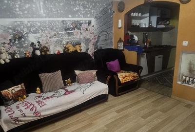 Casă cu Teren 3435 Mp în Peciu Nou - 8