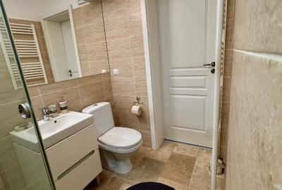 PF inchiriez apartament 2 camere, mobilat, utilat, zona Centrala + parcare - 10