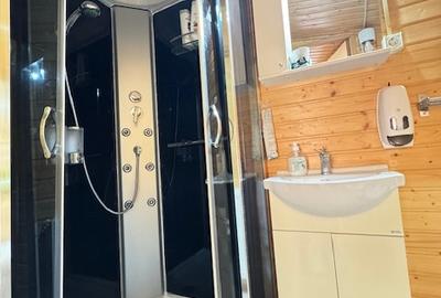Casa la sol cu 3 camere, 933 mp teren, Valu lui Traian - 21