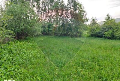 Spațiu comercial, în Predeluț - 18