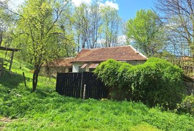 Casă cu 2 camere cu Teren 5000 Mp în Cornițel - 5