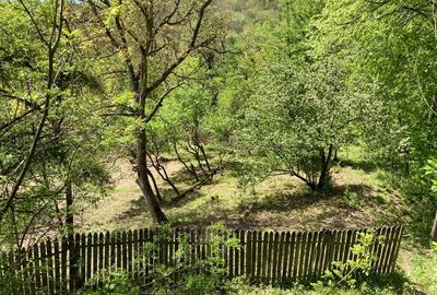 Teren Construcții intravilan de 2500 mp, în Prajila - 3