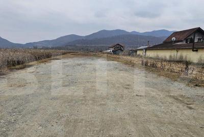 Oportunitate de Investi?ie de Top in ?oimu? - 2600 mp te - 5