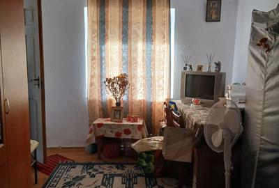 Casă cu 2 camere cu Teren 1200 Mp în Bucinișu - 7