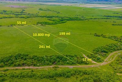 Teren 10,800mp Rasnov / Drumul DN73 - 3