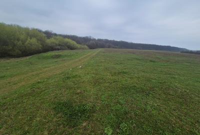 Teren extravilan de 2200 mp, în Lipoveni - 2