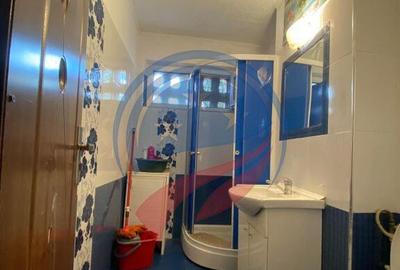 APARTAMENT CHIRIE 2 CAMERE ET 1 VALEA ROSIE - 10