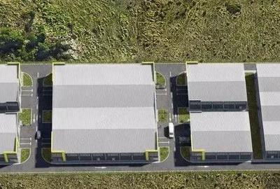 Zona Drumul intre Tarlale - hale noi - 600mp - 2