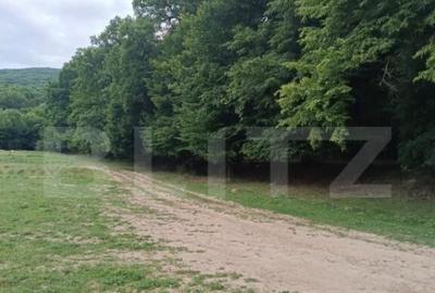 Teren pentru cabana /pensiune locatia perfecta pentru relaxa - 2