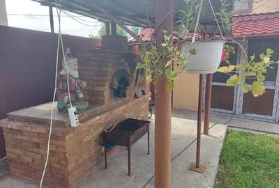 Casă cu 7 camere cu Teren 2800 Mp în Cârbești - 4