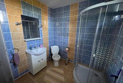 Casă cu 2 camere în Crucișor - 8