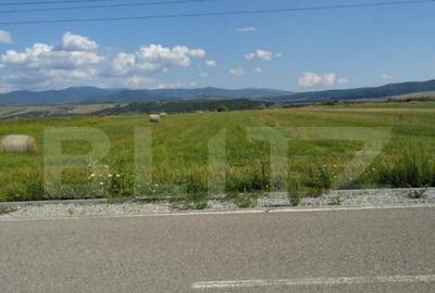 Teren extravilan, Livezile, 1.83 hectare - 2