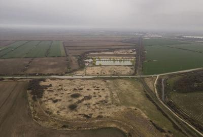 Teren extravilan in Ineu - 9