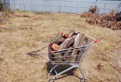 Teren Construcții intravilan de 939 mp, în Târgșoru Nou - 1