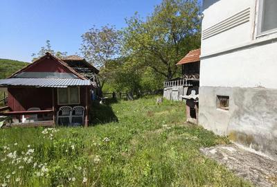 Casă cu 3 camere cu Teren 1400 Mp în Nicolae Bălcescu - 1