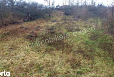 Teren de 3357 mp, în Valea Iașului - 10
