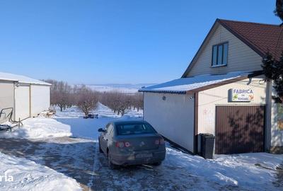 Spațiu comercial, de 385 mp, în Central - 10