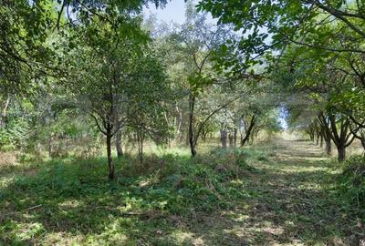 Casa renovabila 87 mp utili, teren de 4.300 mp, in Suatu - 3