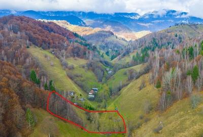 COMISION 0% Teren 9,520mp Moieciu de Jos / Strada Valea cu Calea - 6