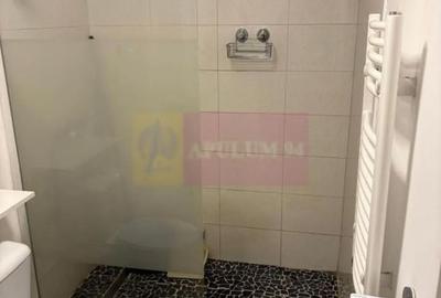 Casă cu 1 camere cu Teren 50 Mp în Tineretului - 2