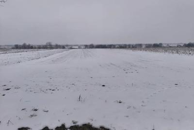 Teren de 6000 mp, în Horodnic - 4