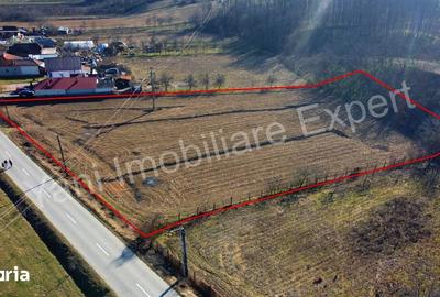 Teren de 5600 mp, în Băiculești - 2