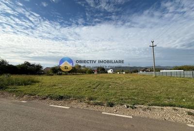 Teren de vanzare 1800 mp – Dumbrava Rosie - 1