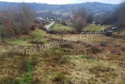 Teren de 3357 mp, în Bădila - 6